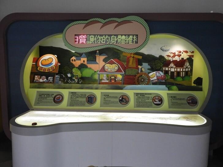 蛋白質對身體的重要