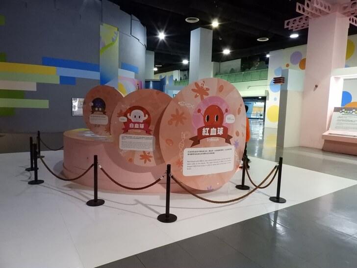 各種血球的介紹