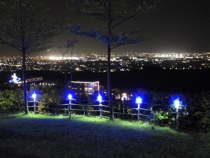 桃園夜景