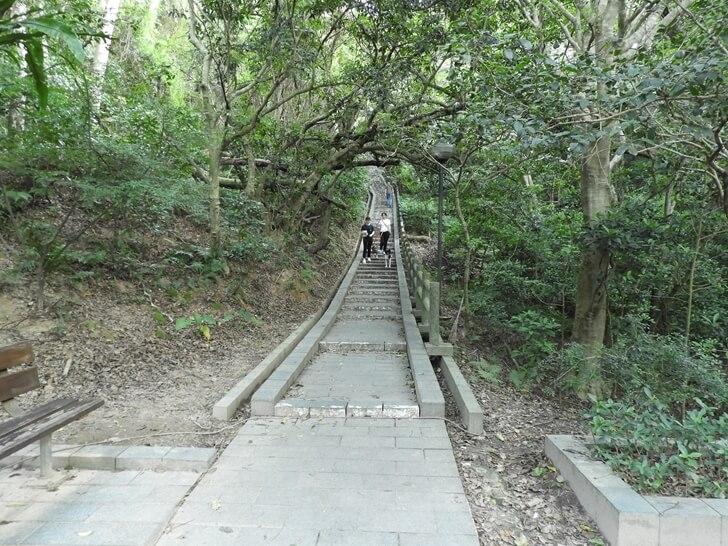 階梯步道