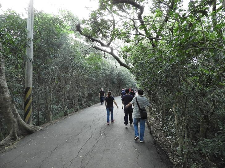 一路上幾乎都有柏油路