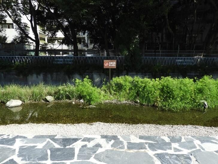 親水區