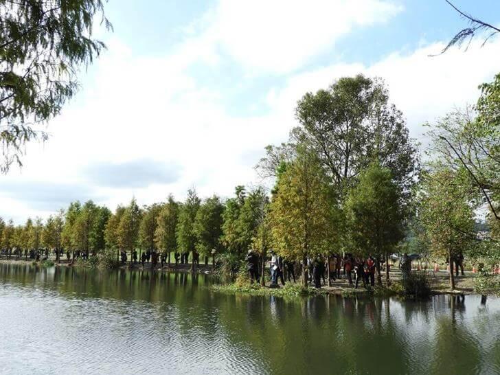 隨處都是美景