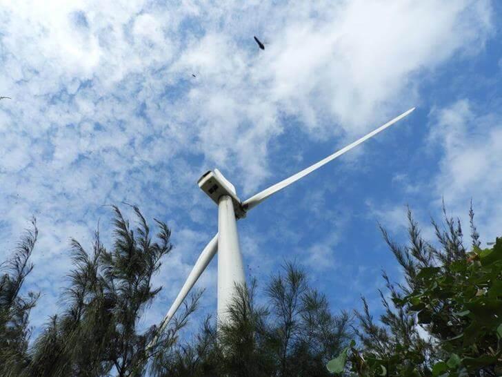 看到超大風力發電風車了