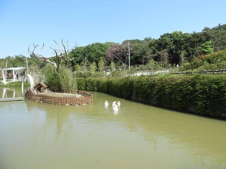 生態水池