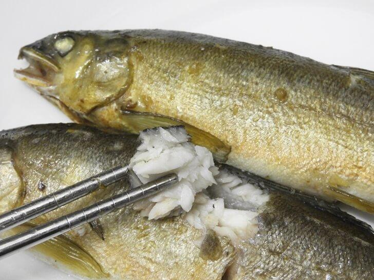 黃金公香魚的肉質細嫩
