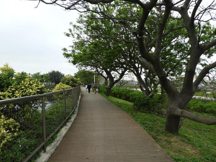 廟埤旁的環湖步道
