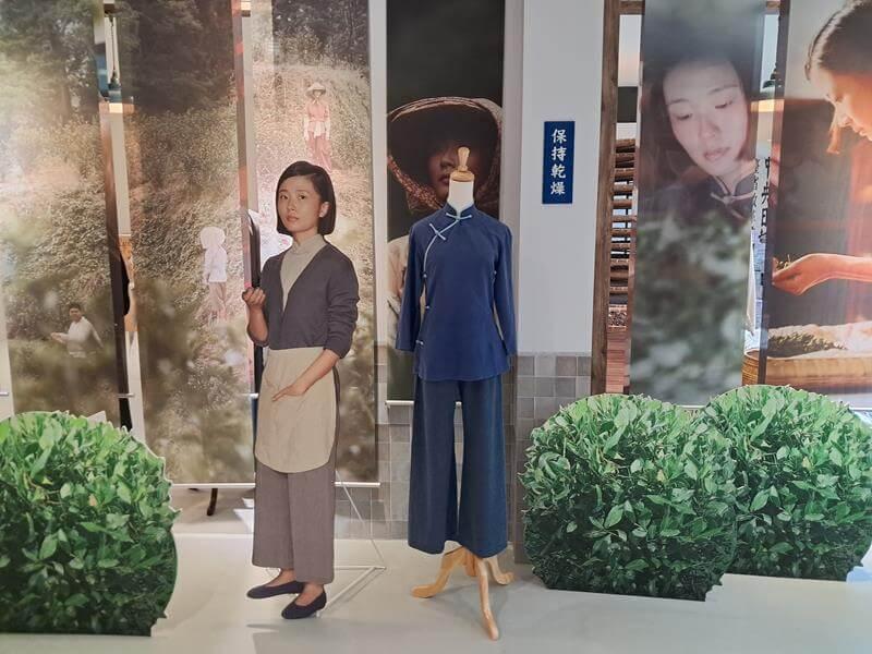 茶金特展